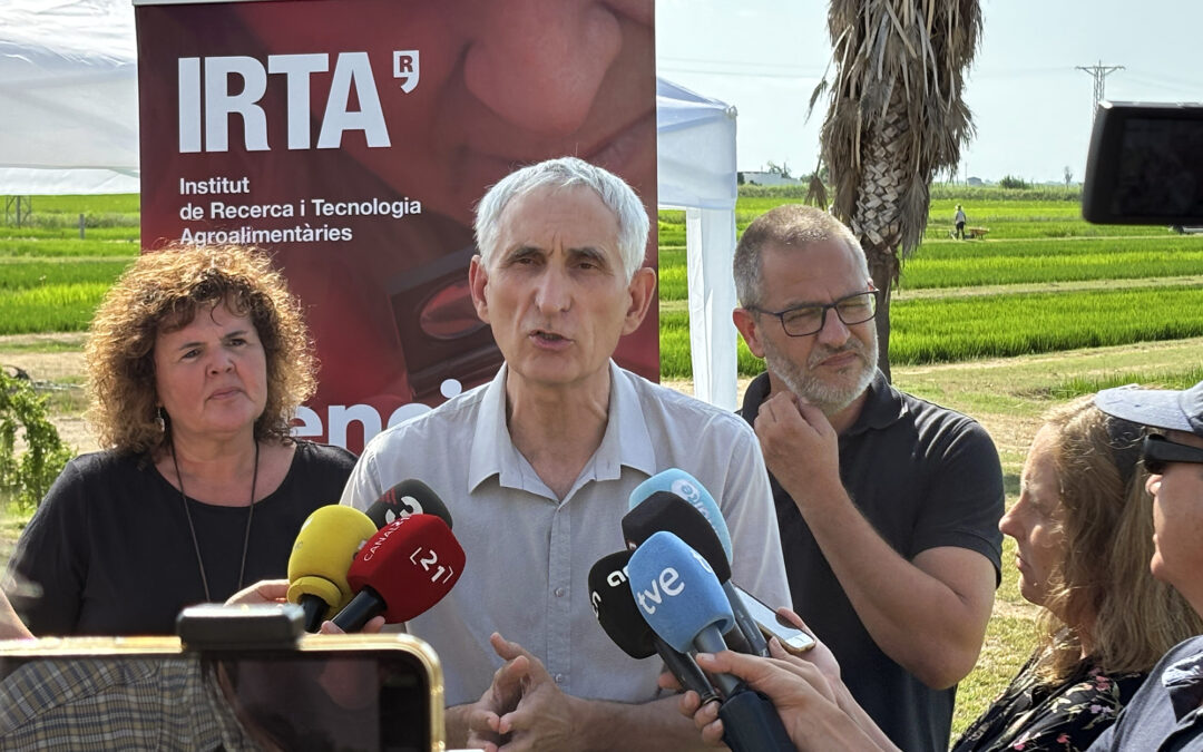 Dos projectes catalans liderats per l’IRTA avancen en la introducció de tècniques agrícoles que milloren la salut del sòl i l’adaptació al canvi climàtic